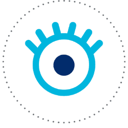 member organisations