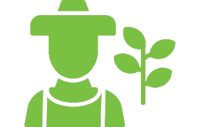 Retail & E-Commerce 0