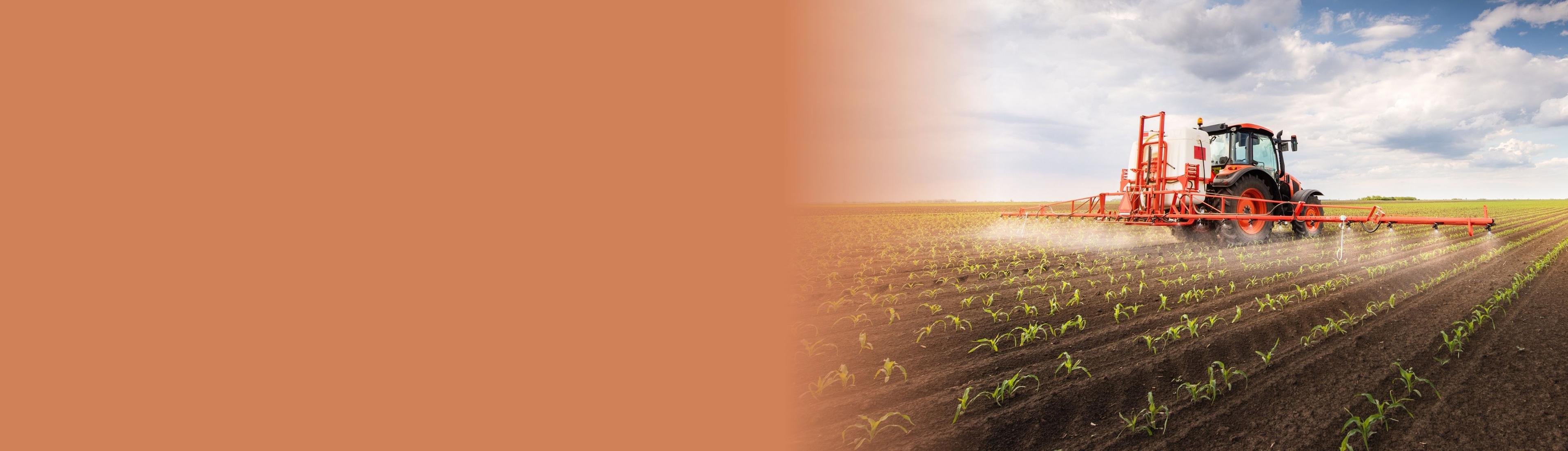 Food and Agriculture Banner